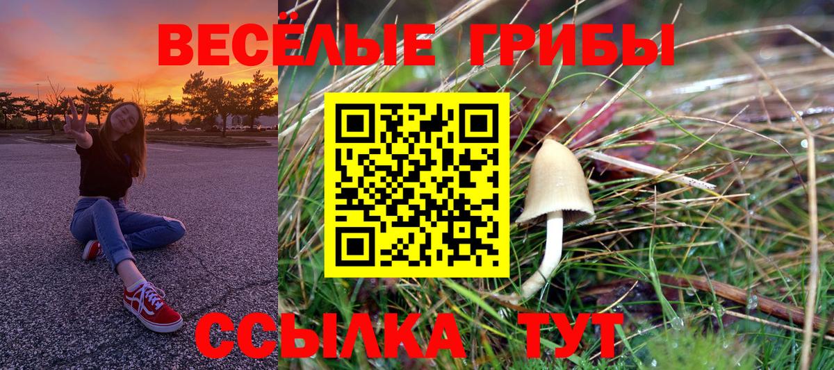 Псилоцибиновые грибы Psilocybe  Галлюциногенные грибы Cubensis  Аргун  Вход с VPN 