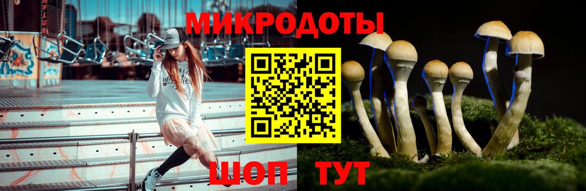 Галлюциногенные грибы GOLDEN TEACHER Аргун